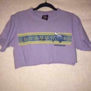Purple cropped Hawaii top